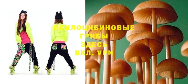 круглые Богородицк