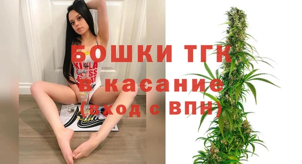 гашик Богородск