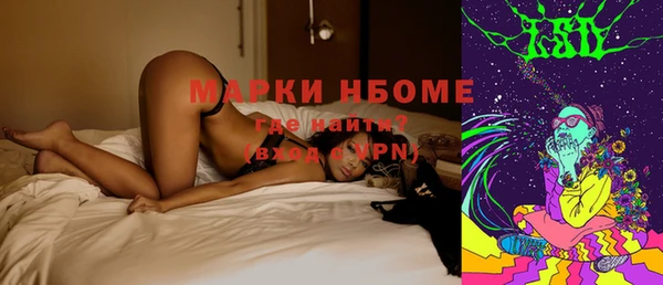 гашик Богородск