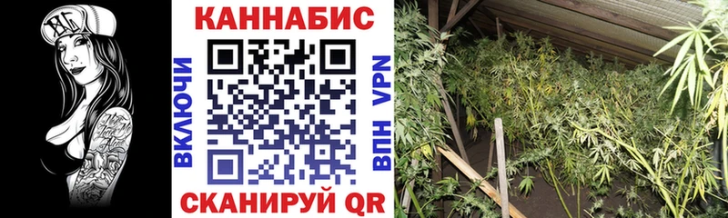 hydra ссылки  Тихорецк  это состав  Конопля THC 21% 